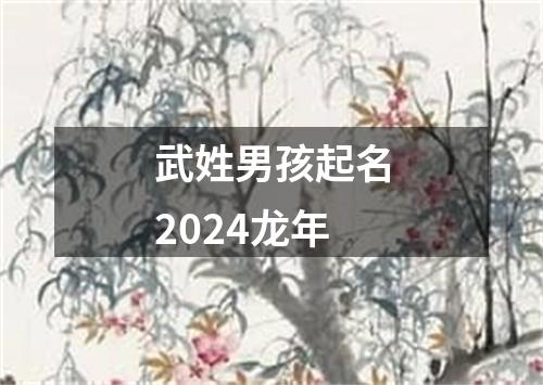 武姓男孩起名2024龙年