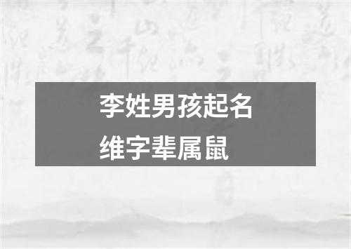 李姓男孩起名维字辈属鼠