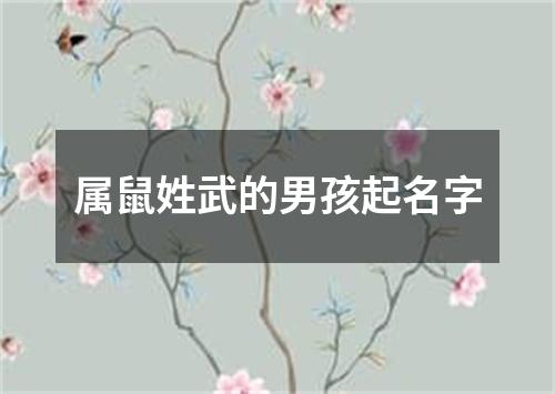 属鼠姓武的男孩起名字