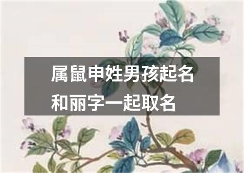 属鼠申姓男孩起名和丽字一起取名