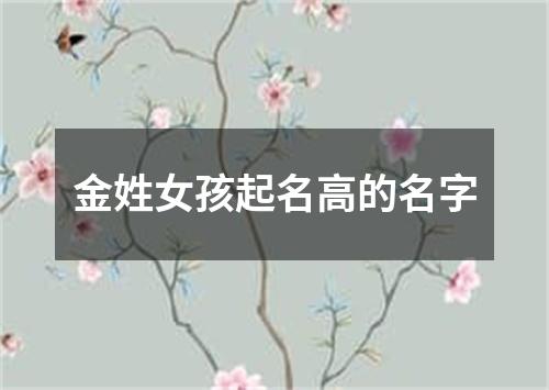 金姓女孩起名高的名字