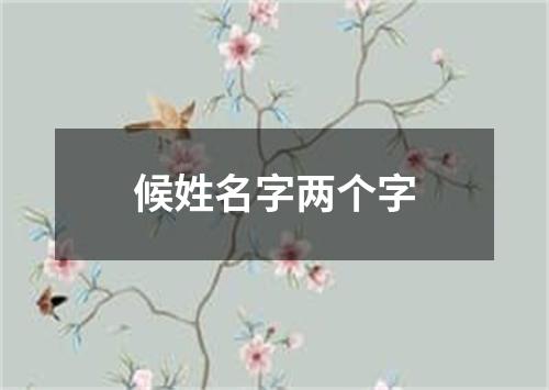 候姓名字两个字