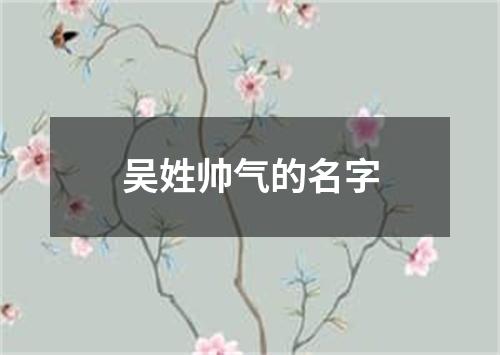 吴姓帅气的名字