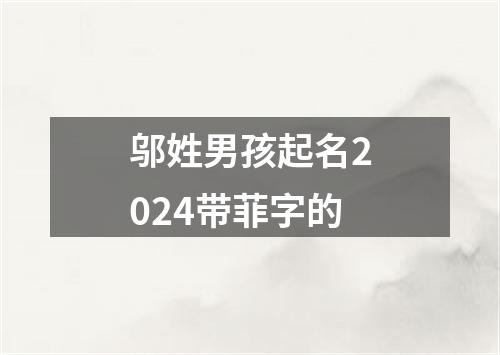 邬姓男孩起名2024带菲字的