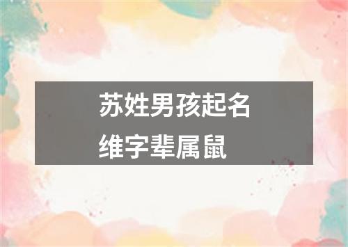 苏姓男孩起名维字辈属鼠