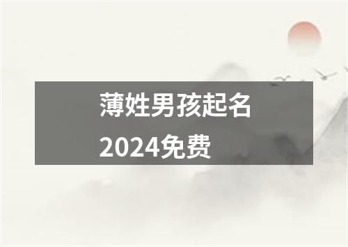 薄姓男孩起名2024免费