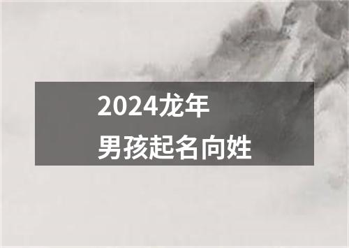 2024龙年男孩起名向姓