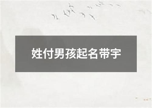 姓付男孩起名带宇