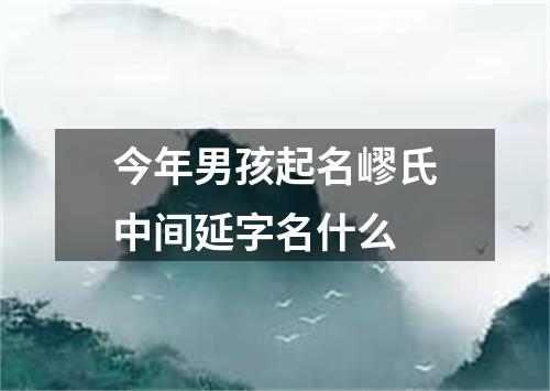 今年男孩起名嵺氏中间延字名什么