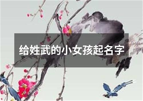 给姓武的小女孩起名字