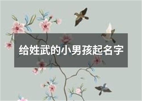 给姓武的小男孩起名字