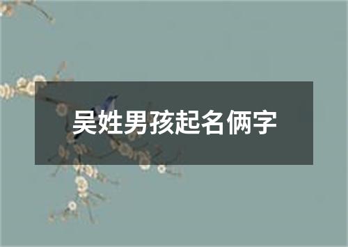 吴姓男孩起名俩字