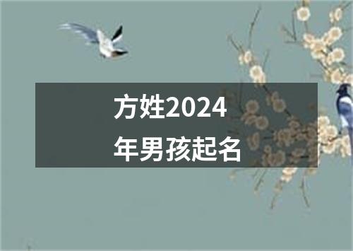 方姓2024年男孩起名