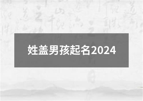 姓盖男孩起名2024