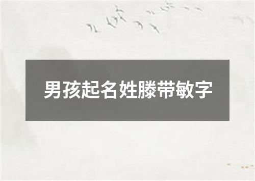 男孩起名姓滕带敏字