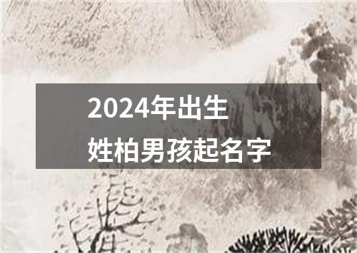 2024年出生姓柏男孩起名字