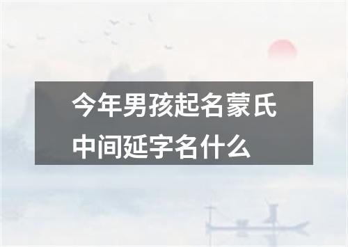 今年男孩起名蒙氏中间延字名什么