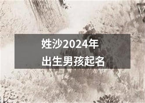 姓沙2024年出生男孩起名