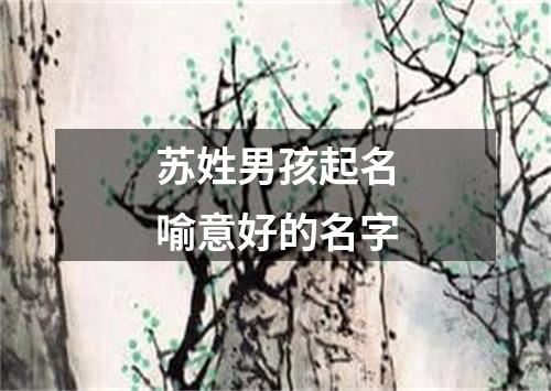 苏姓男孩起名喻意好的名字