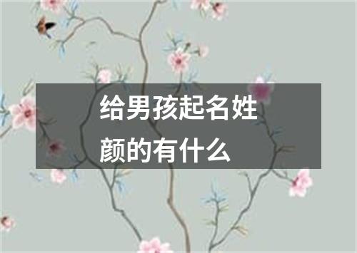 给男孩起名姓颜的有什么