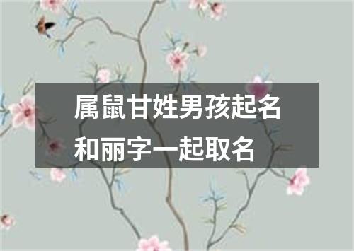 属鼠甘姓男孩起名和丽字一起取名