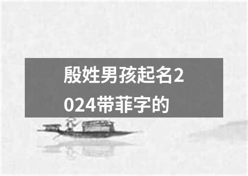 殷姓男孩起名2024带菲字的