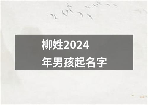 柳姓2024年男孩起名字