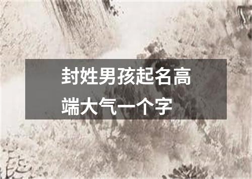 封姓男孩起名高端大气一个字