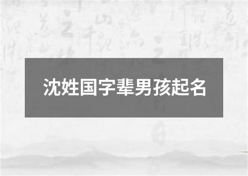 沈姓国字辈男孩起名