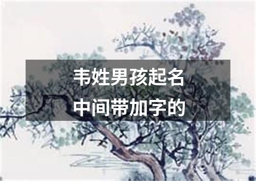 韦姓男孩起名中间带加字的