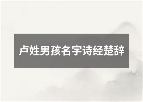 卢姓男孩名字诗经楚辞