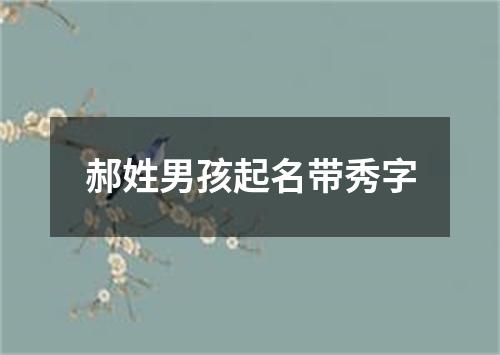 郝姓男孩起名带秀字