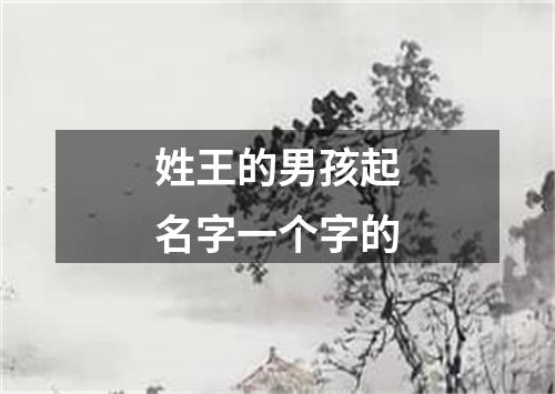 姓王的男孩起名字一个字的