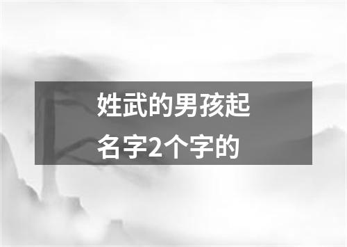 姓武的男孩起名字2个字的