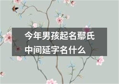 今年男孩起名鄢氏中间延字名什么