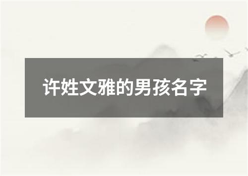 许姓文雅的男孩名字