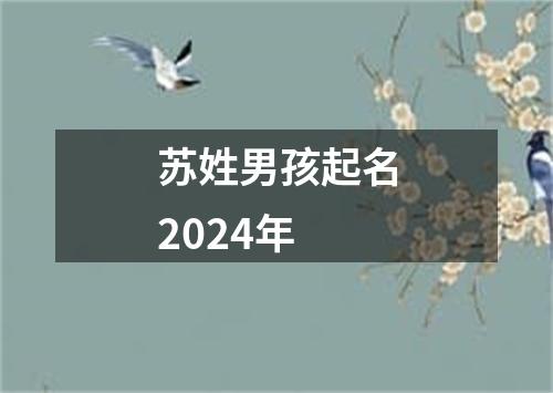 苏姓男孩起名2024年