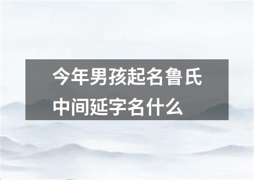 今年男孩起名鲁氏中间延字名什么