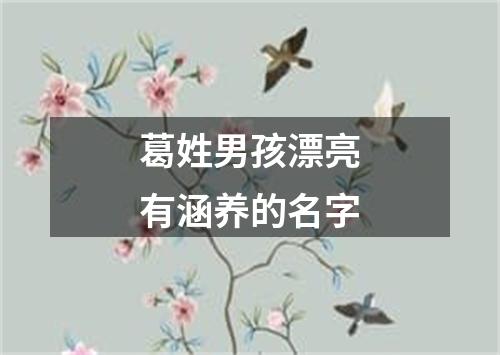 葛姓男孩漂亮有涵养的名字