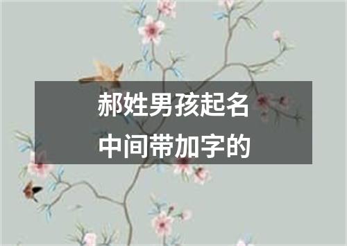 郝姓男孩起名中间带加字的