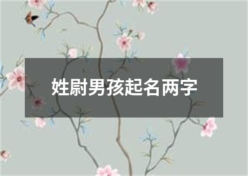 姓尉男孩起名两字