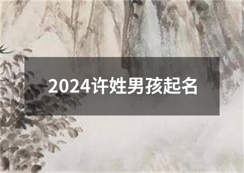 2024许姓男孩起名