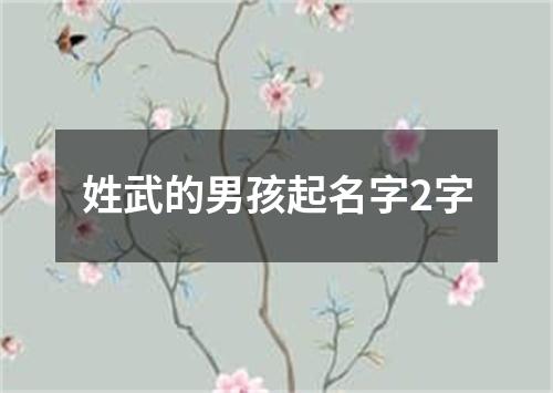 姓武的男孩起名字2字