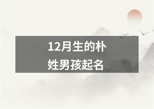 12月生的朴姓男孩起名