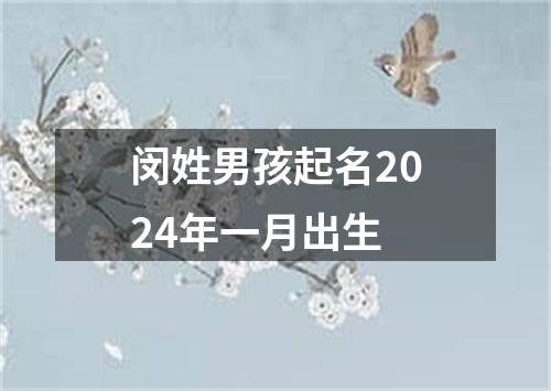 闵姓男孩起名2024年一月出生