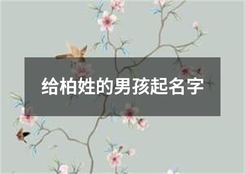 给柏姓的男孩起名字