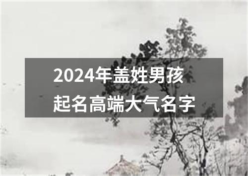 2024年盖姓男孩起名高端大气名字