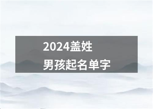 2024盖姓男孩起名单字