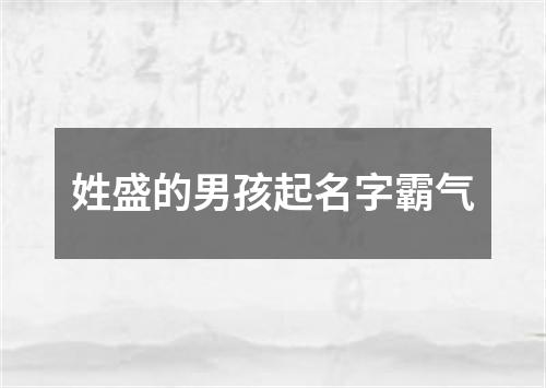 姓盛的男孩起名字霸气