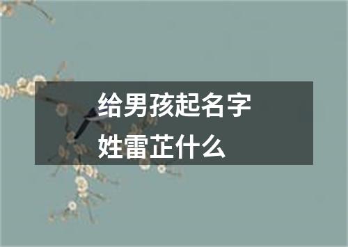 给男孩起名字姓雷芷什么